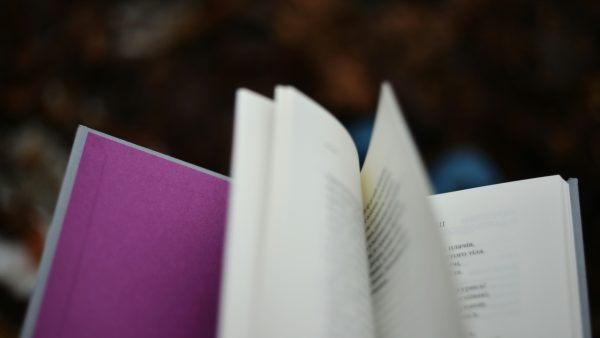 Den tryckta boken fortsätter dominera bland svenskarna 